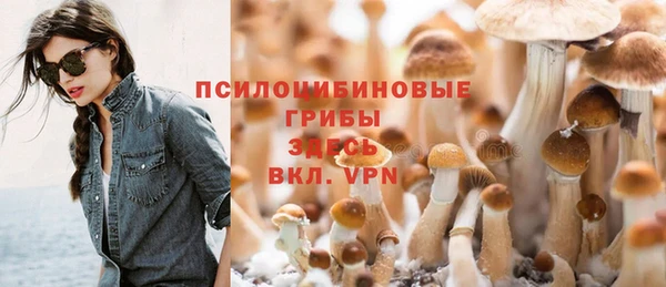 не бодяженный Абинск