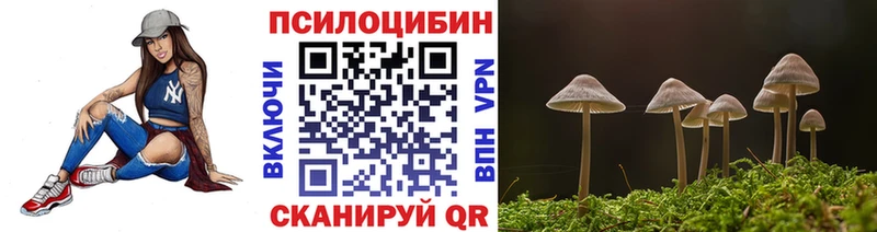 Галлюциногенные грибы Cubensis  Котовск 