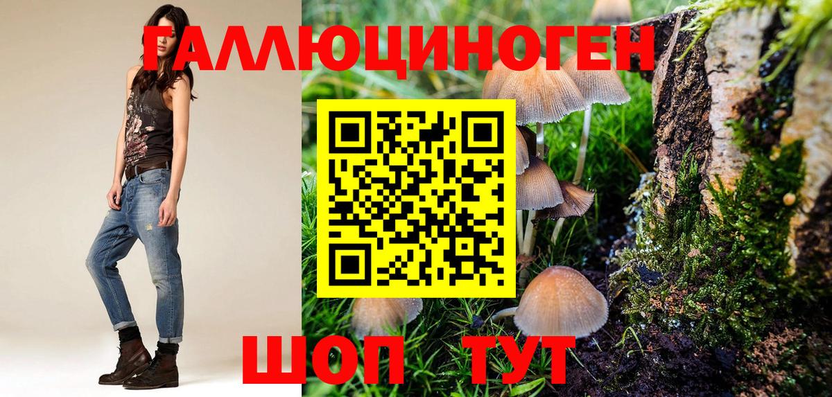 Котовск  Псилоцибиновые грибы мухоморы  Вход с VPN  Галлюциногенные грибы Magic Shrooms 